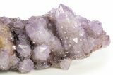 Sparkling Cactus Amethyst Crystal Cluster - South Africa #337110-5